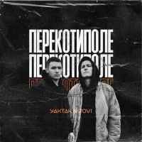 DOVI & YAKTAK - Перекотиполе
