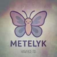 METELyK - Нам все ПО