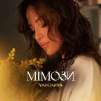 YAROMIYA - Мімози