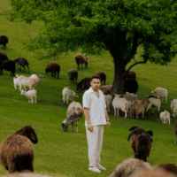 Хас - Дикий знову тут