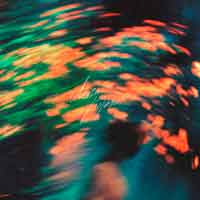 T-Fest - Люди-кораблі