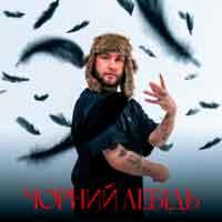 Гоня - Чорний лебідь